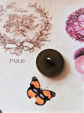 Load image into Gallery viewer, 18 mm ,buttons ,brass
